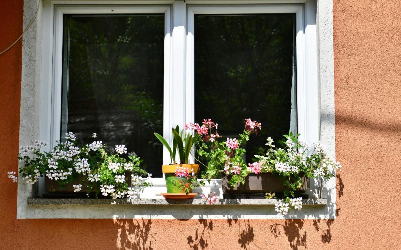 Apartments Matovina Saborsko Kültér fotó